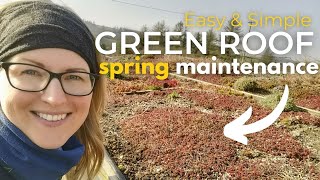 5 Easy and Simple Steps for GREEN ROOF SPRING MAINTENANCE