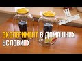 Стабилизирую древесину в домашних условиях для рукояти ножа. Вакууматор за 100 рублей. ЖКВ Саморучка