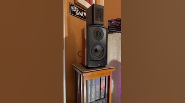 ADCOM GFA-5400 Power Amplifier #shorts #amplifier #stereo #hifi