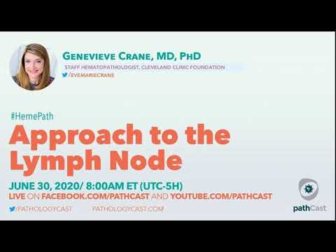 Approach to the lymph node - Dr. Crane (Cleveland Clinic) #HEMEPATH
