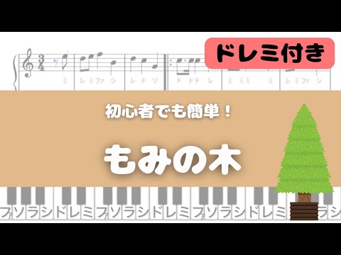 もみの木