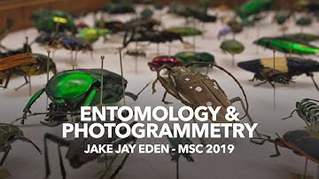 Entomology & Photogrammetry MSc Highlights