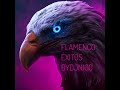 FLAMENCO EXITOS BYDJNICO