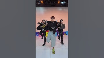 🐶💂‍♂️🐱🎸#RIIZE #SOHEE #소희 #BOYNEXTDOOR #JAEHYUN #명재현 #ZEROBASEONE #성한빈 #SUNGHANBIN #BoomBoomBass