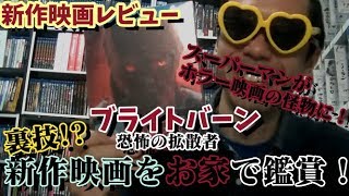 【新作映画レビュー】「ブライトバーン恐怖の拡散者」公開中の映画を自宅で鑑賞！