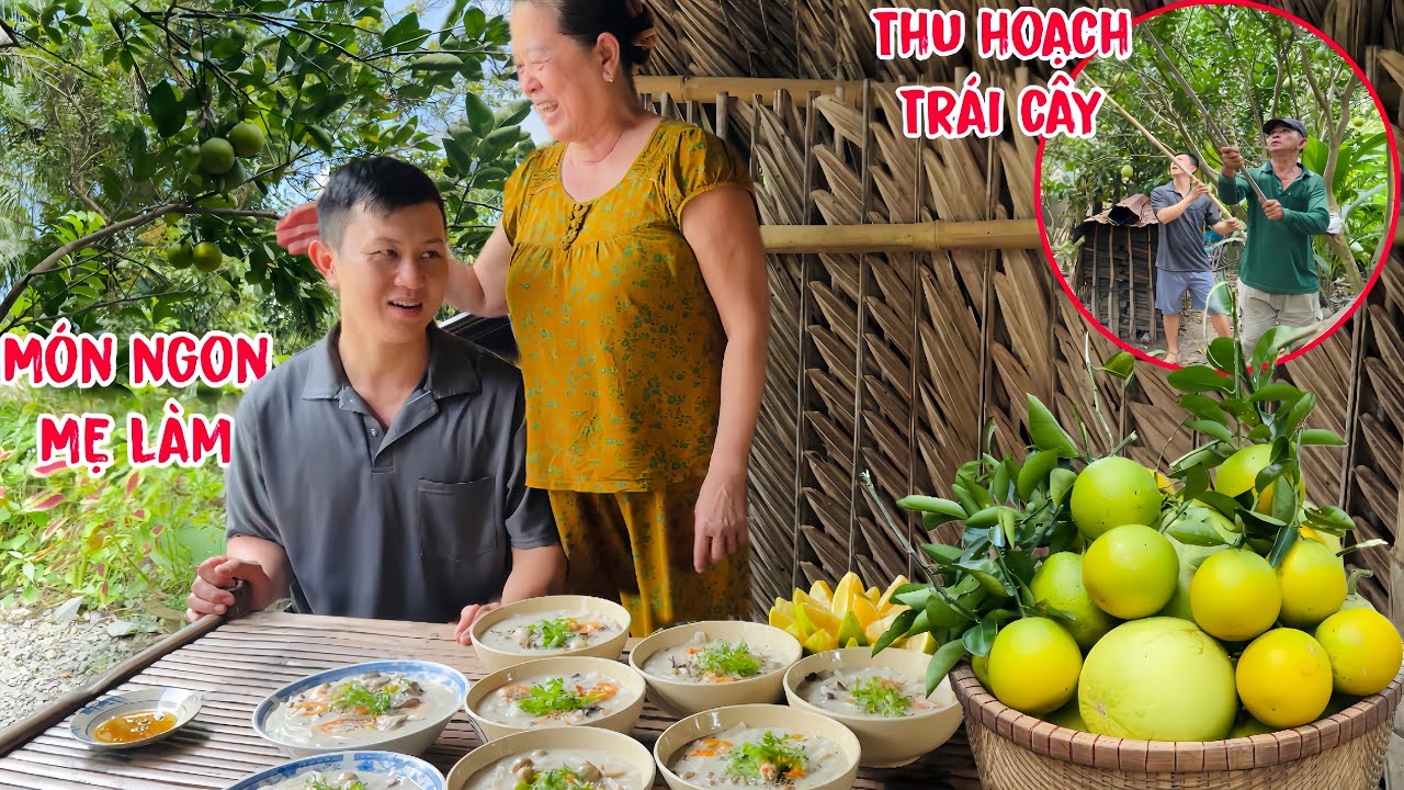 Сбор фруктов в саду бабушки и дедушки. Бабушка угостила меня вкусной едой.