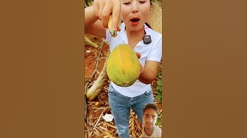 Fresh Papaya & Nature’s Beauty | Wonderful Industry Video #FreshFruit #Papaya #Nature