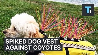 anti coyote dog jacket