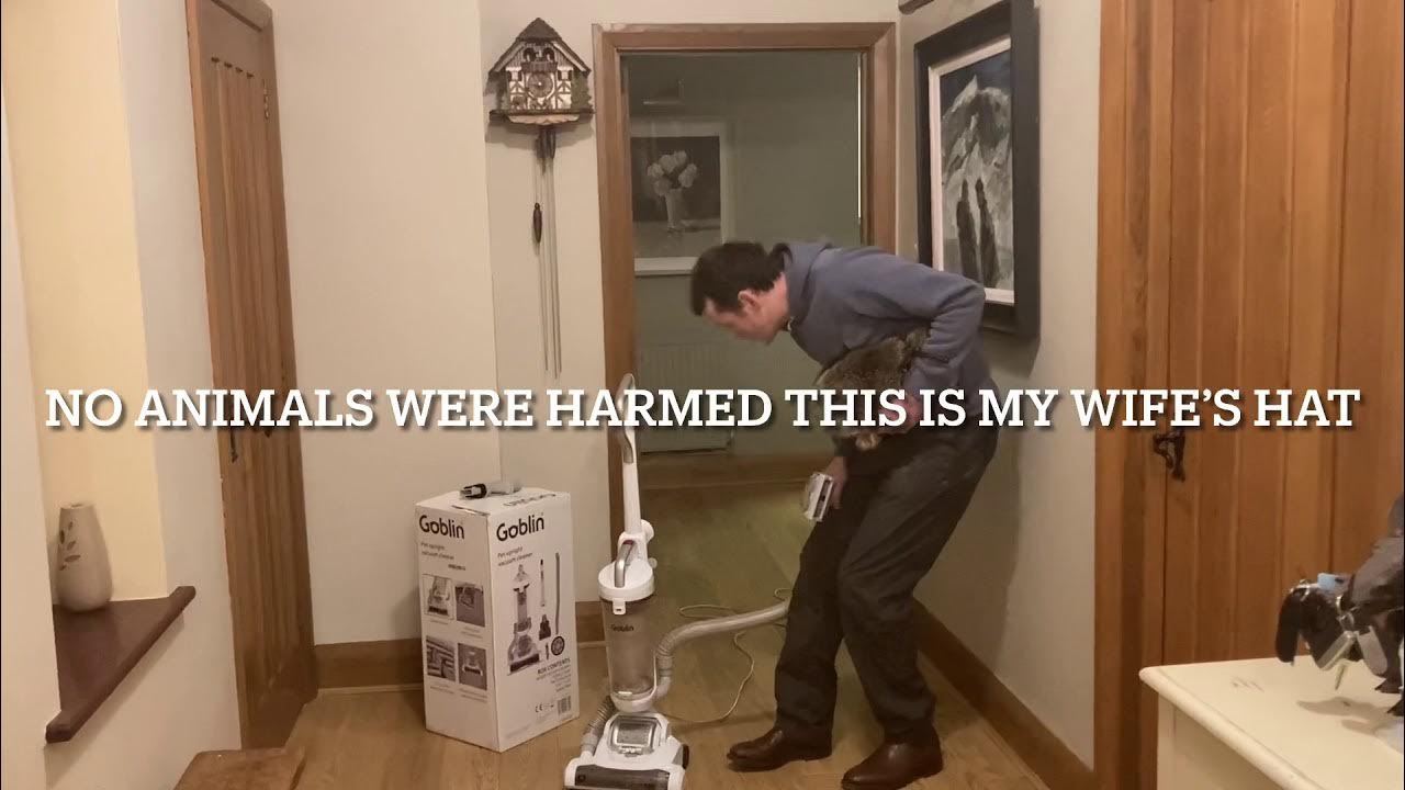 Goblin Pet Upright Vacuum Cleaner Review by Matt Symes YouTube