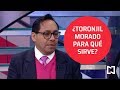 Toronjil morado, beneficios - Al Aire