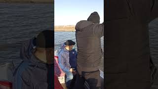 Шора өзенiнде тайыз жерлер бар.