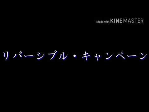【東方PV】リバーシブル・キャンペーン