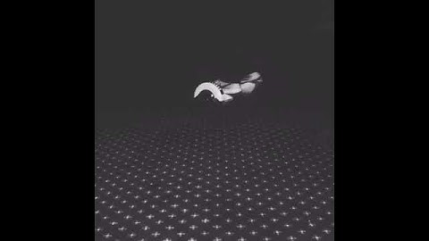 Instagram:@waddleboard