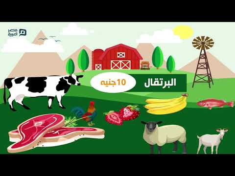 أسعار الخضار والفاكهة واللحوم والاسماك والدواجن الخميس 18-2-2021 #مصر_العربية