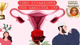DHAMAAN QOOYSASKA ISKU DIYAARINAAYO UUR QAADISTA IVF TA FADLAN ISA SII BAARA DHAMAAN QOOYSASKA ISKU DIYAARINAAYO UUR QAADISTA IVF TA FADLAN ISA SII BAARA