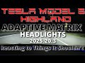 Tesla Model 3 Highland - Adaptive Matrix Headlights - SW: 2025.20.3 - Too Sensitive