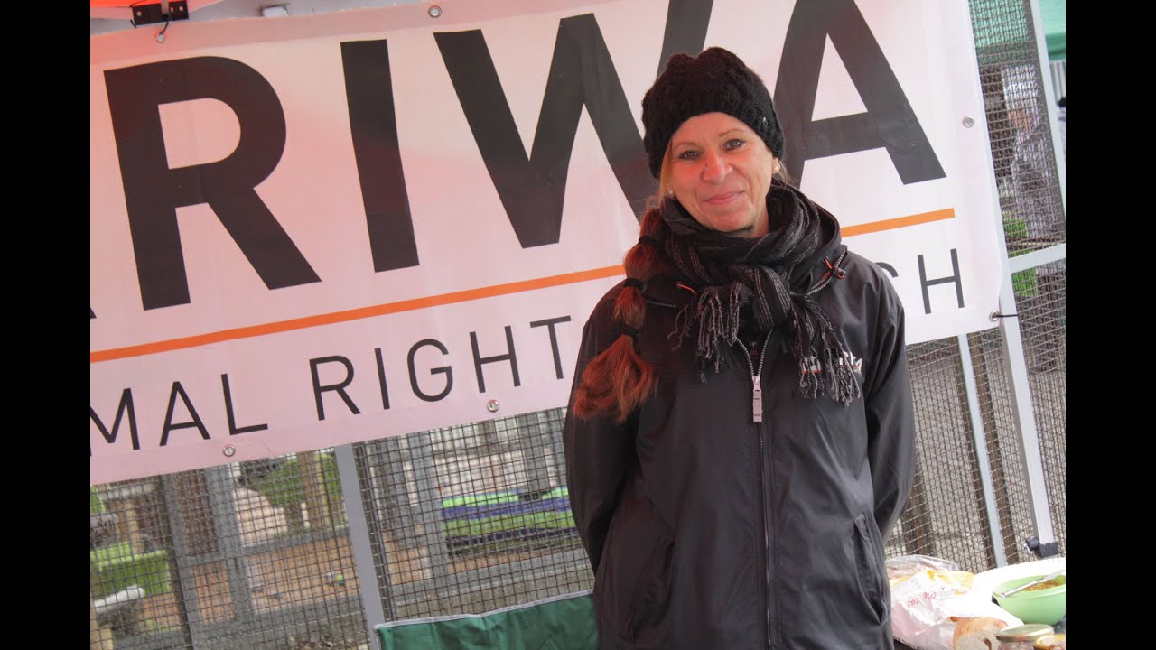 Osterbasar Im Tierheim Karlsruhe 2015 YouTube osterbasar-im-tierheim-karlsruhe-2015-youtube