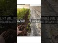 Practices like no-till farming, cover cropping (planting "green manures" just to feed the soil).
