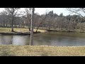 Vlog balade au lac 