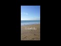 قل لمن الأرض ومافيها سورة المؤمنون القارئ ياسر الدوسري