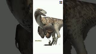 'Deinonychus: The Raptor That Changed Dinosaur History!'