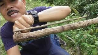 hanging traps for various types of birds