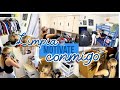 ✨ Limpia y Motívate Conmigo a Limpiar tu Casa 🏠 Limpieza de Cuartos | Casa Sucia Videos de limpieza