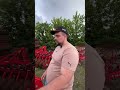 Повний аналог Lemken Karat, але за адекватні гроші? 😱🚜Хочете перевірити його в ділі?