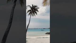 Photos From Maldives