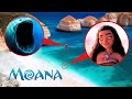 FUI NA PRAIA E ENCONTREI A MOANA ASSOMBRADA E ELA NOS ATACOU!