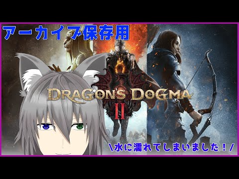 【ネタバレ注意】ドラゴンズドグマ２をまったりやっていく。その伍