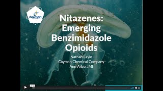 Nitazenes - Emerging Benzimidazole Opioids