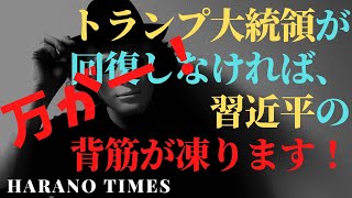 習近平の天敵である、トランプ大統領に万が一があれば、中国共産党、習近平にとって、最悪なシナリオになる可能性が大きい！