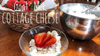 Goat Milk Cottage Cheese | Tornadoes, Broken Foot, and bonus How to Zoodle