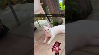 She Knows She A Baddie