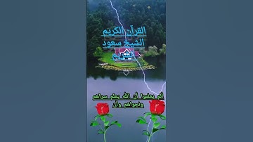 القرآن الكريم الشيخ سعود الشريم #محمود #اكسبلور #تيك_توك #المصحف #حالات_واتس #راحة_نفسية #المنذر
