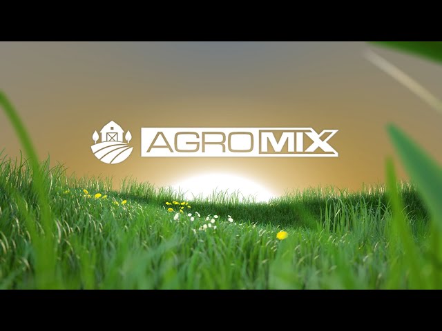 AgroMix: Do cultivo do morango a marmitex, empreendedoras rurais contam suas experiências