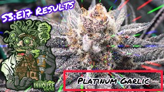 Seed to Harvest - In House Genetics