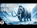 What Was Earth Like During the Ice Age? | Sleep Documentary