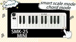 Smart Scale/Chord - SMK-25 MINI Portable Midi Keyboard