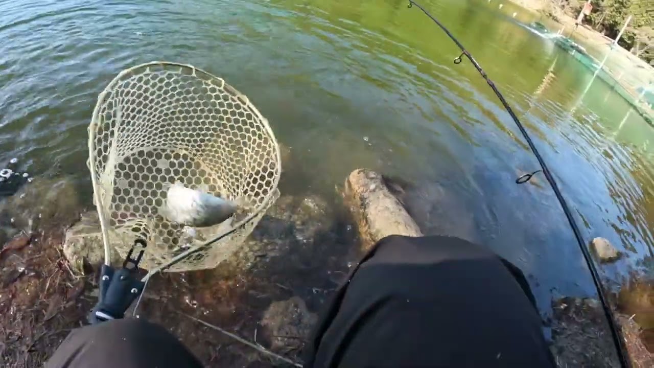 今日のお題は水深測定！　フィッシャーリゾートしょうばら　～2026年2月19日～