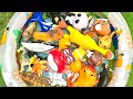 Sea Creature Learning Ocean Animal for Kids | Names & Fun Facts with Ocean Toys