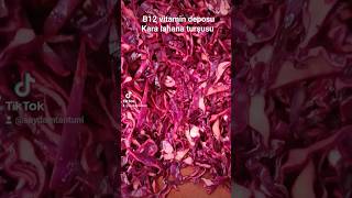 Kara Lahana Turşusu B12 Vitamin Deposu