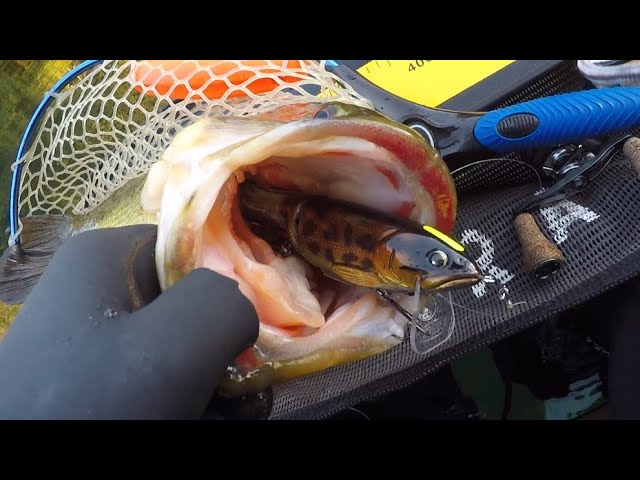 Hard big bait 
