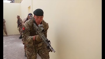 U.S. Army Southern European Task Force, SETAF- Africa directs and supports all U.S. Army activities