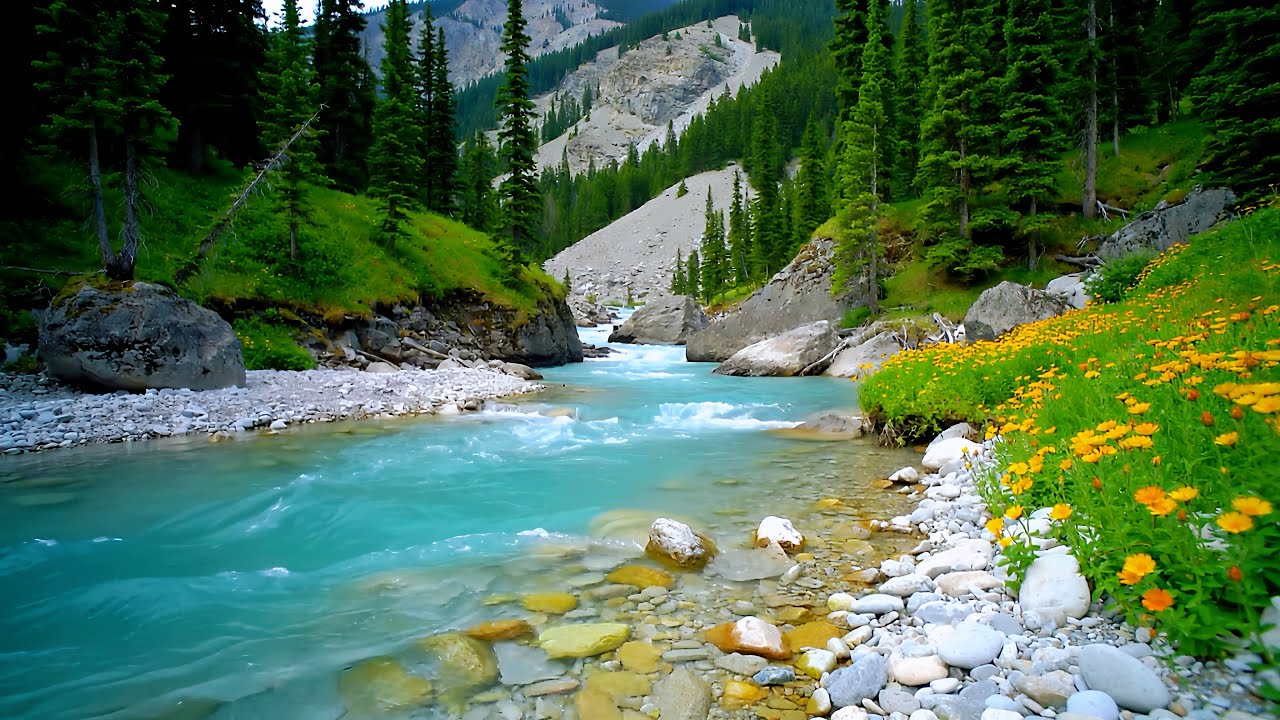 No Ads Gentle Piano Solo Music Instrumental – Nature Ambience No Ads for Background Relaxation