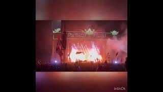 Slander electric forest
