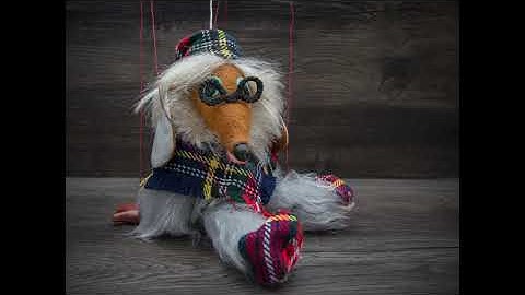 Audio Visual Presentations