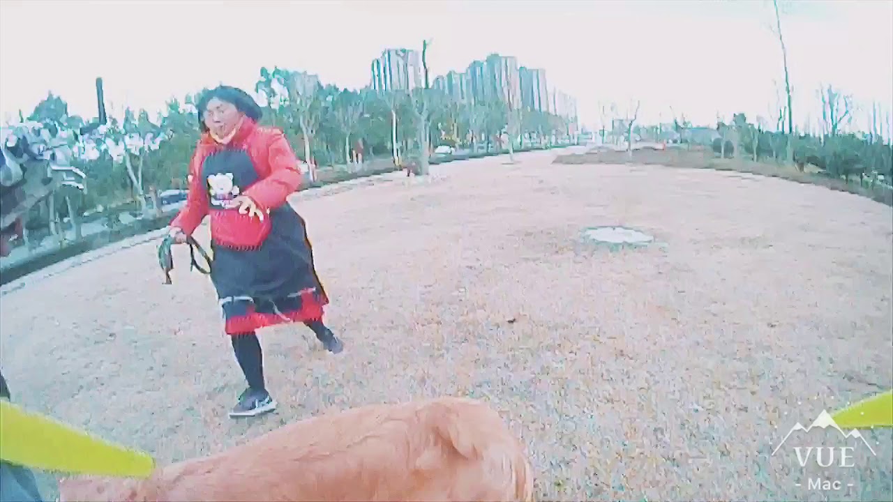 Fxt t80 with Hmdvr-s Leader Frame