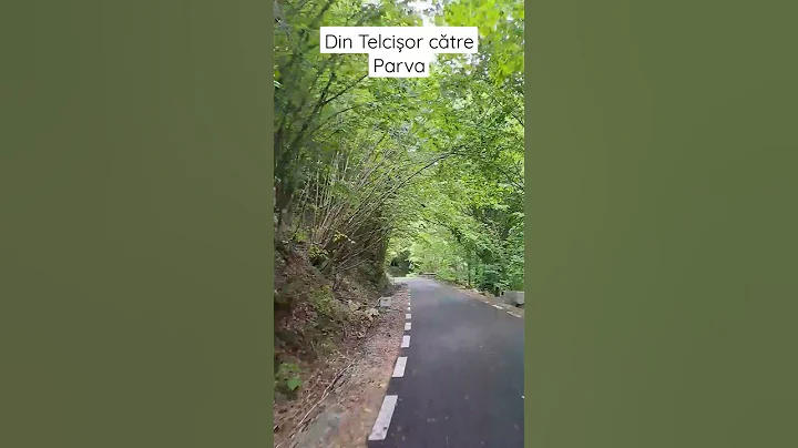 Telcișor către Parva #nature #bistritanasaud #exploreromania #visitromania #beardedtourguide